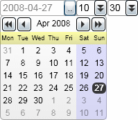 Silverlight DatePicker Control