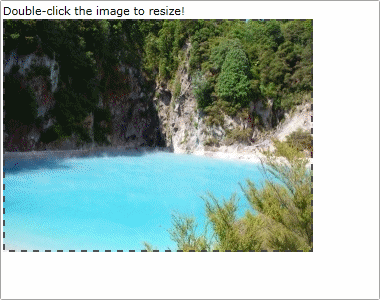 A RichTextBox with Image