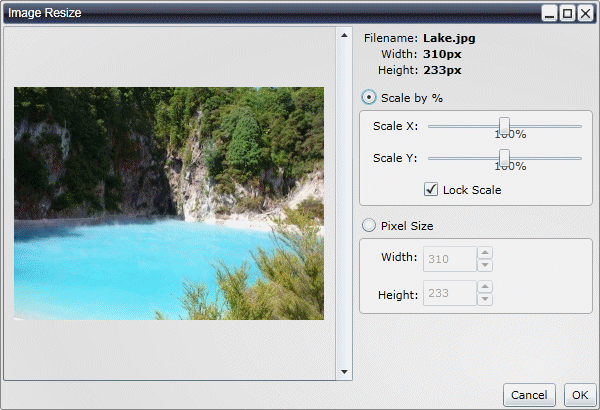 The Image Resize Dialog