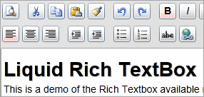 Rich TextBox